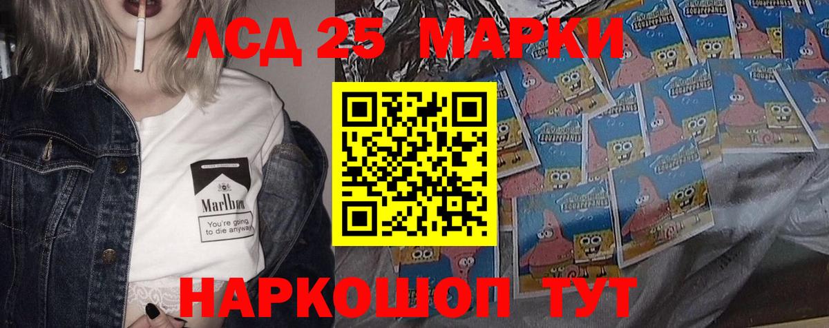 Галлюциногенные грибы Муром