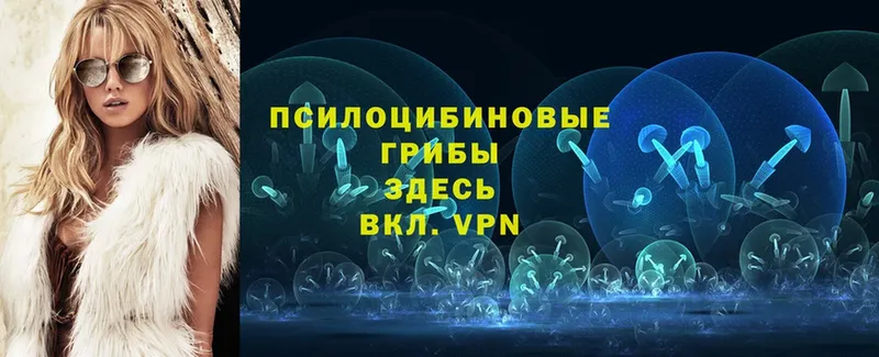 нарко площадка наркотические препараты  Муром  Галлюциногенные грибы GOLDEN TEACHER  сколько стоит 