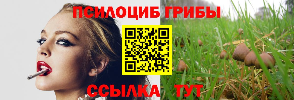 Псилоцибиновые грибы Magic Shrooms Муром